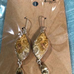 Fossilized earrings